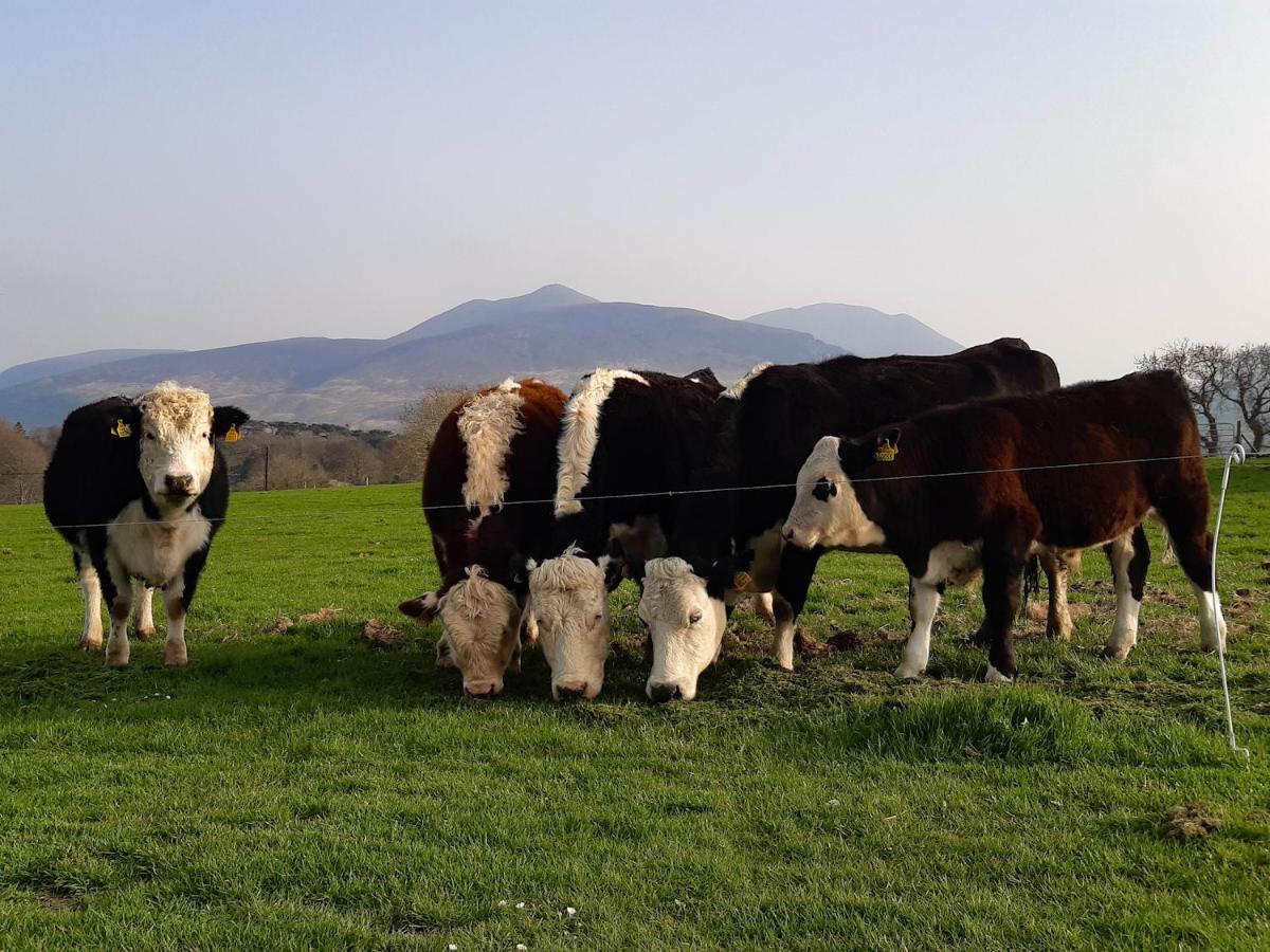 Inveraray Farm Beaufort Zewnętrze zdjęcie