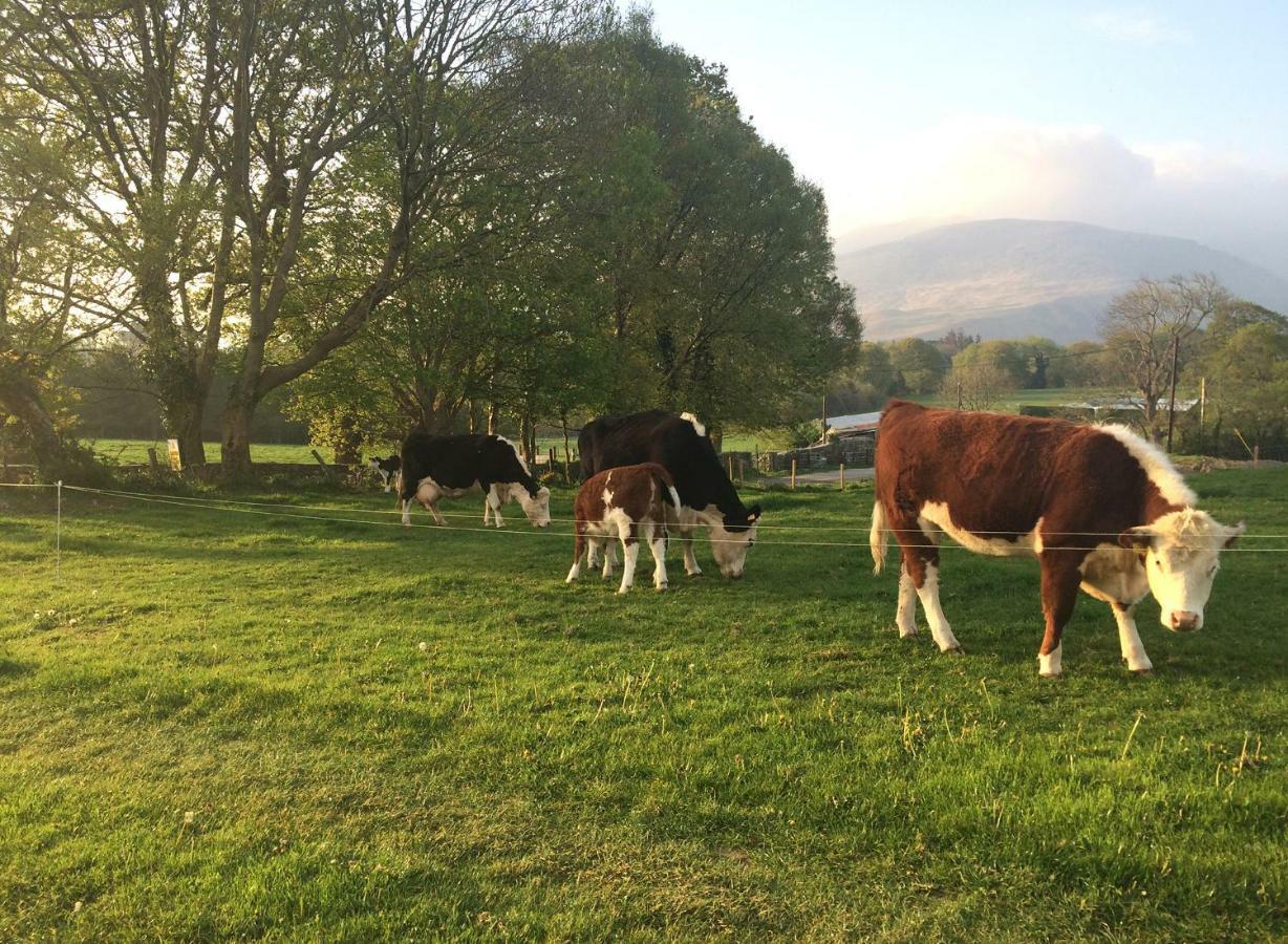 Inveraray Farm Beaufort Zewnętrze zdjęcie
